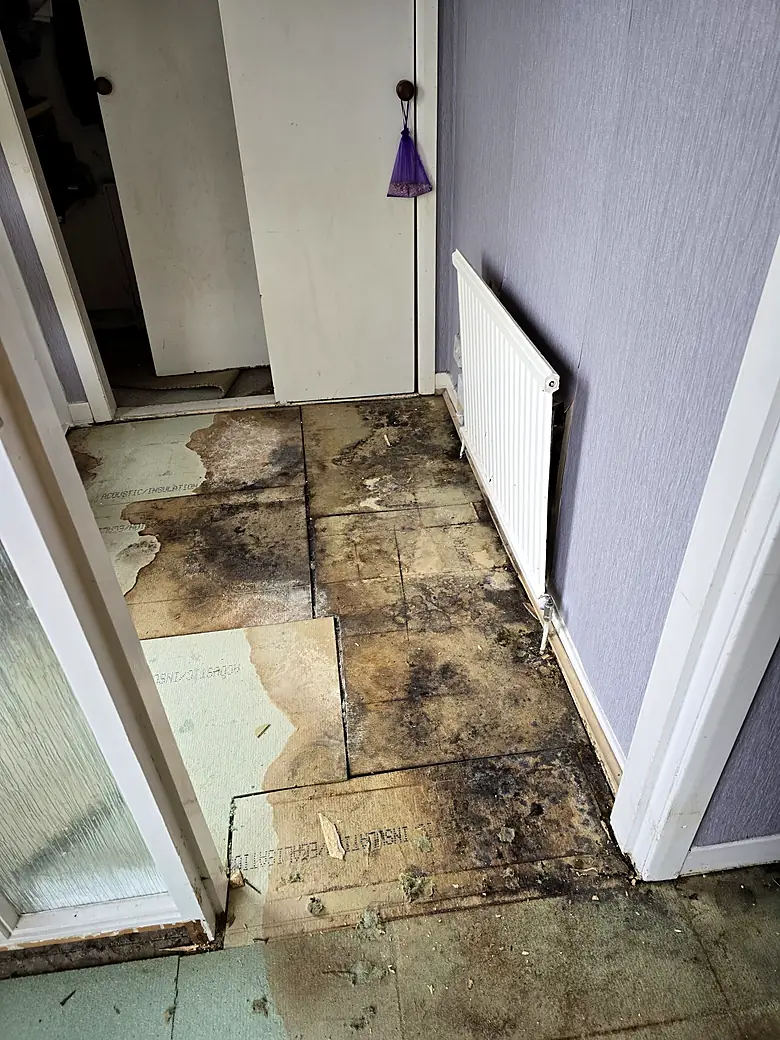 Water-damaged subfloor exposed and removed